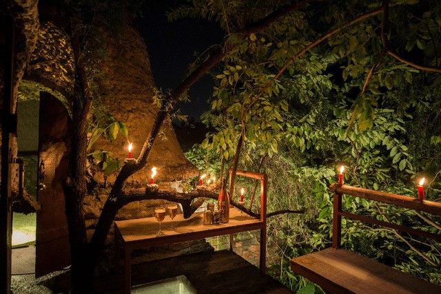 Những ngôi nhà được xây trên cây: không chill phết không lấy tiền