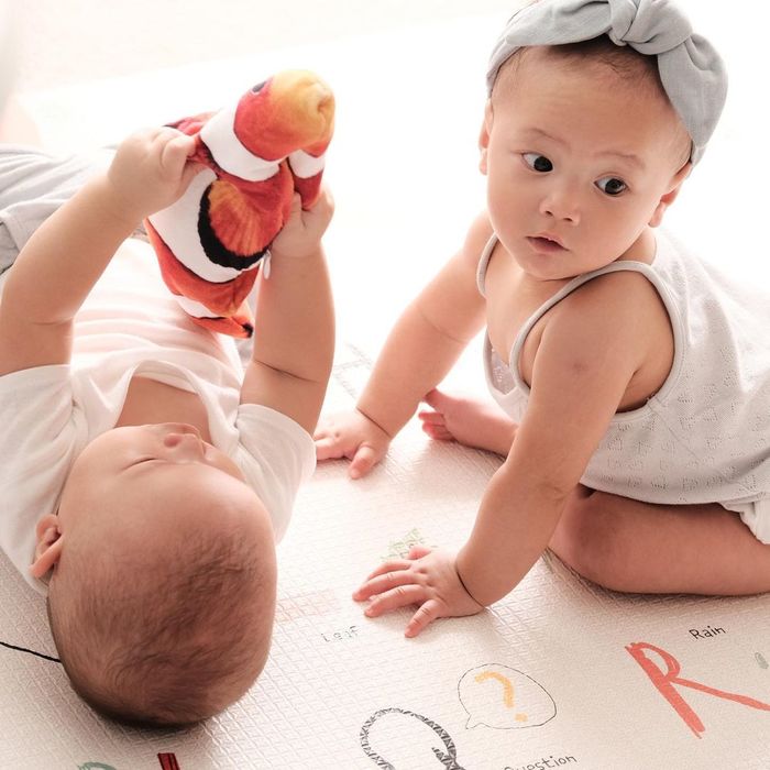 Nỗi khổ sinh đôi của Hồ Ngọc Hà: Một món đồ chơi 2 em đè nhau giành