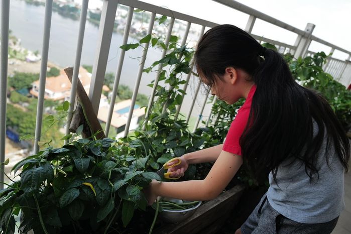 Ở nhà mùa dịch: Con gái Lưu Thiên Hương luyện thanh khoe giọng khủng