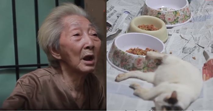 Ông Tây tốt bụng xin con gà luộc 300k của vợ cho chó già đang bệnh ăn