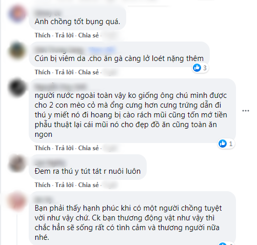 Ông Tây tốt bụng xin con gà luộc 300k của vợ cho chó già đang bệnh ăn