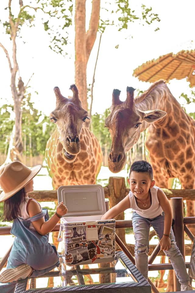 Quý tử duy nhất nhà Minh Nhựa: tự lập từ sớm, đậu trường quốc tế