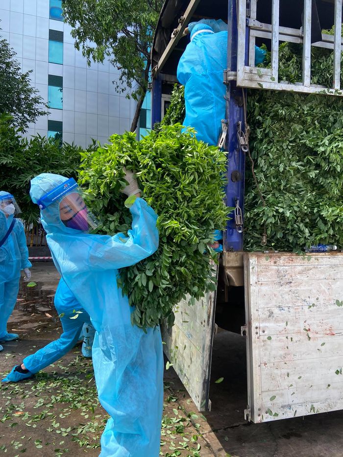 Sao Việt 24h: Thiều Bảo Trâm đăng ảnh phong phanh trên giường