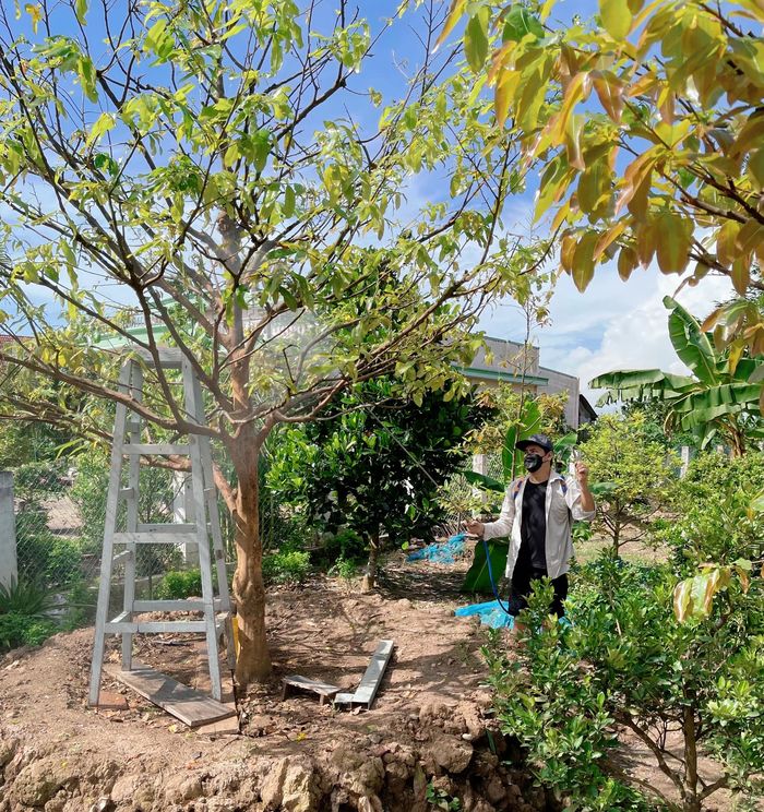 Sao Việt về quê tránh dịch: Minh Luân làm vườn, phun thuốc trừ sâu
