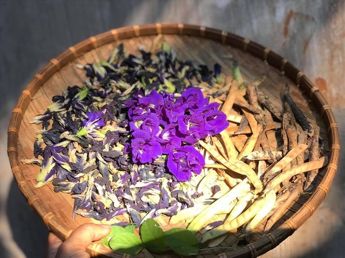 Sao Việt về quê tránh dịch: Minh Luân làm vườn, phun thuốc trừ sâu