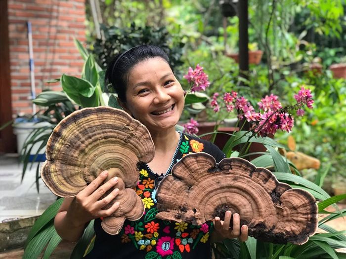 Sao Việt về quê tránh dịch: Minh Luân làm vườn, phun thuốc trừ sâu