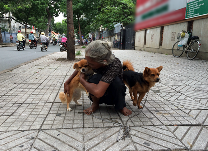 Bà cụ lượm ve chai 30 năm ngủ lề đường, dốc tiền nuôi 2 chú chó