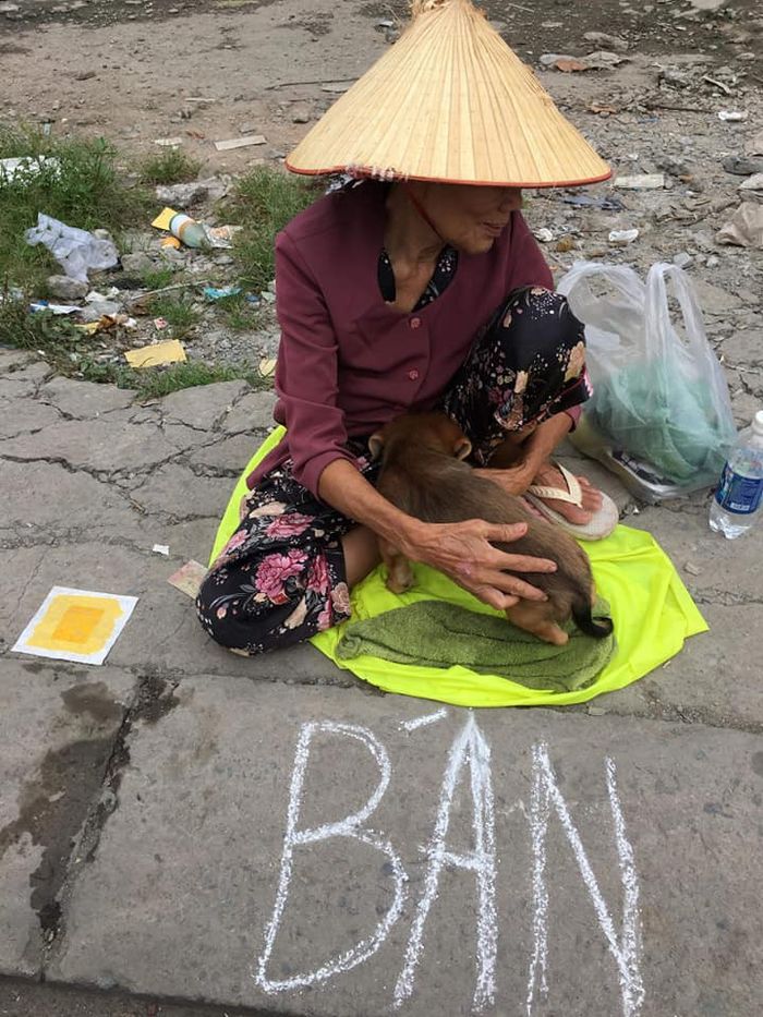 Cảm động tình bạn của bà ve chai và chú chó đực thích mặc đồ con gái