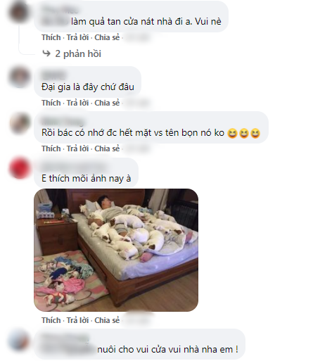 Vợ chồng nuôi 2 con chó cho “vui cửa vui nhà” giờ “tan nhà nát cửa