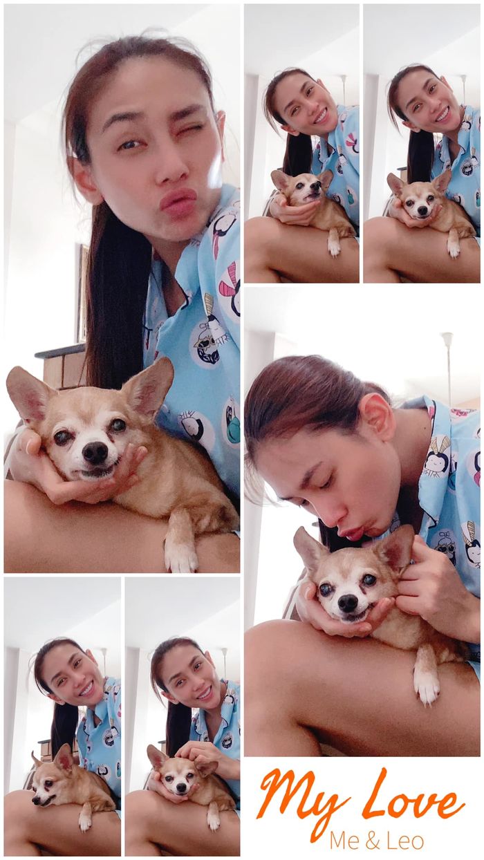 Thú cưng của sao Việt: Có sinh nhật riêng, qua đời được làm lễ tang