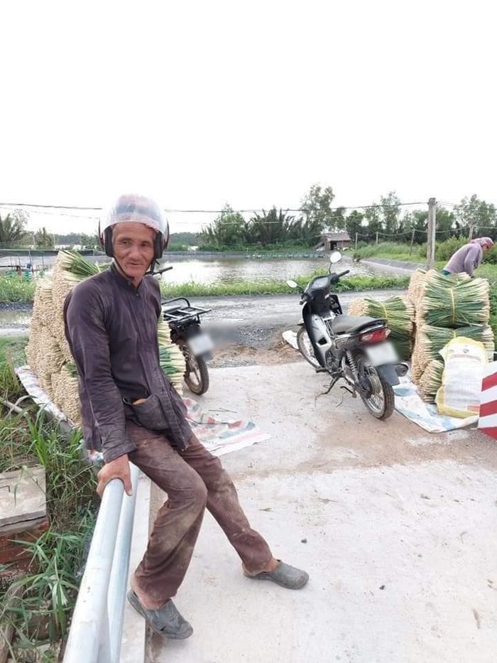 Cụ ông 70 tuổi tặng hết vườn sả cho Sài Gòn: Ông không có tiền đâu