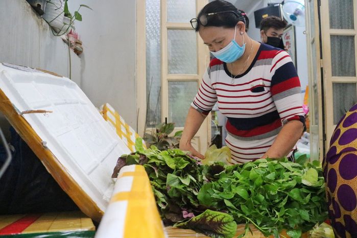 Chờ được phân công đến bệnh viện, bác sĩ mở sạp rau 0 đồng tại nhà