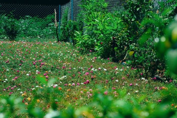 5 chị em chung tay cải tạo căn cấp 4, nhìn ấm áp như homestay