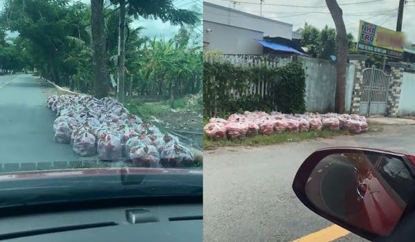 Bà con Long An soạn thanh long xếp 2 bên đường tặng người dân