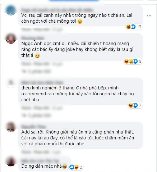 Bức ảnh gây lú nhất hôm nay: Không giỏi nấu ăn cũng biết là rau muống