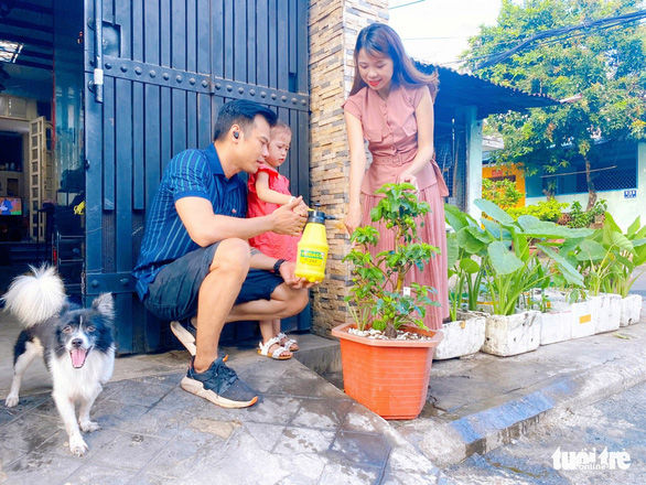 Cây táo phường phát đã nở hoa: Tưởng trồng chơi ai dè có ăn thật