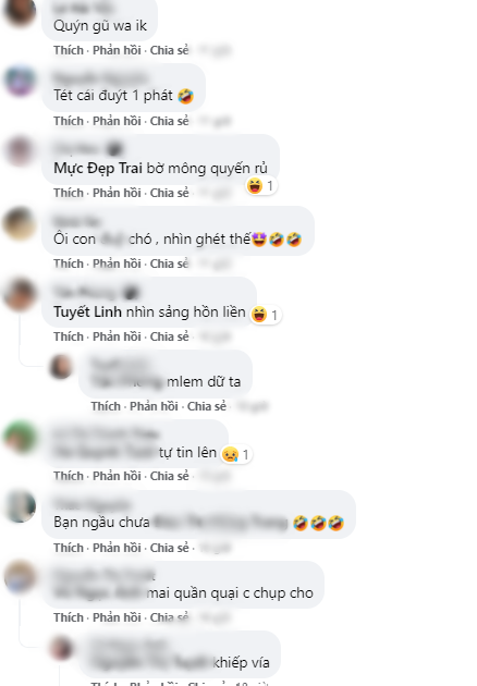 Chú chó ở nhà mặc đồ bộ khoe cá tính: Nhìn em có ngon không quý vị