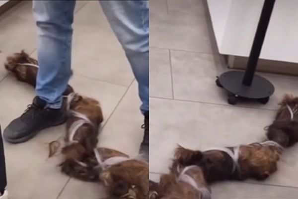 Cô gái 18 năm chưa từng cắt tóc và màn lột xác cực kỳ ngoạn mục