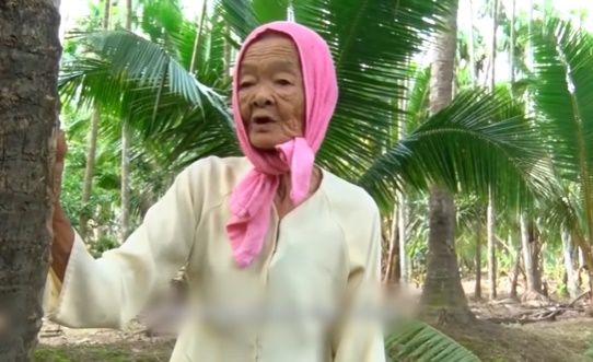 Cụ bà U80 leo cây hái dừa thoăn thoắt, tuy nghèo nhưng luôn nở nụ cười
