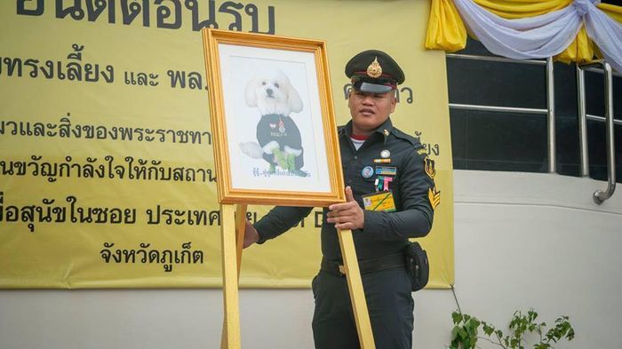 Đại tướng chó của hoàng gia Thái Lan: Mất được tổ chức tang lễ 4 ngày