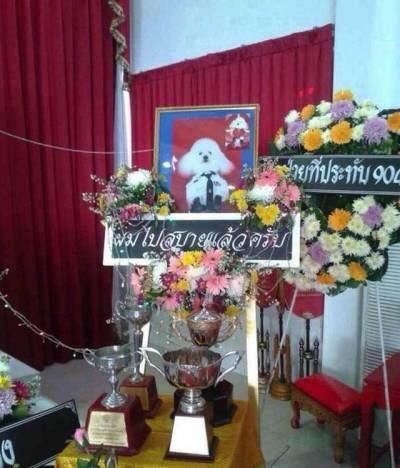 Đại tướng chó của hoàng gia Thái Lan: Mất được tổ chức tang lễ 4 ngày