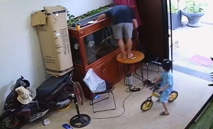 Thấy bố đứng trên bàn chăm cá lung lay, cậu bé chạy lại giữ chân ngay
