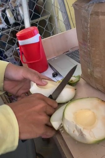 Trái dừa lạ nhất Việt Nam: Bổ múi như cam, chỉ ăn vỏ bỏ nước