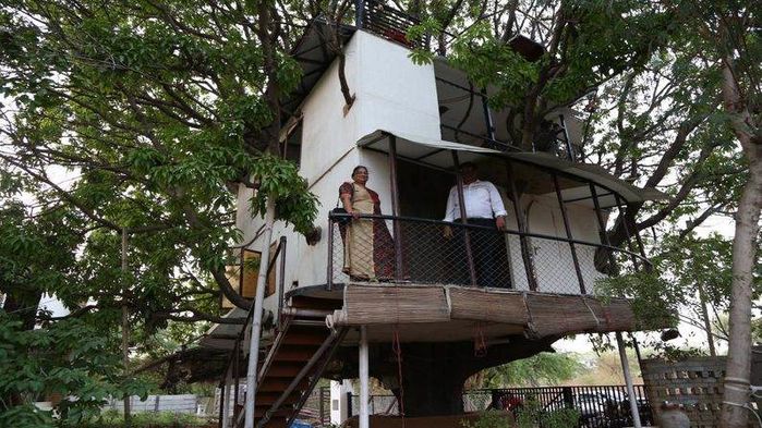 Ngôi nhà 4 tầng nằm trên cây xoài 80 năm tuổi: Đầy đủ bếp, phòng ngủ