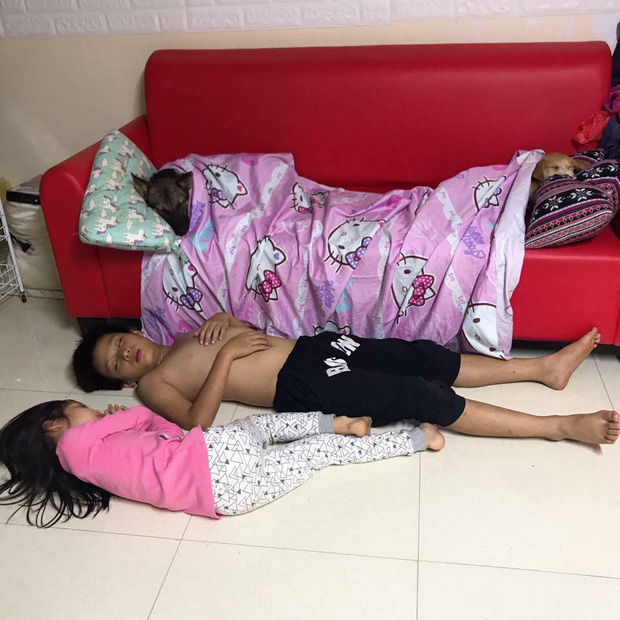 Cưng xỉu: Hai anh em sẵn sàng nằm đất nhường sofa cho chó cưng
