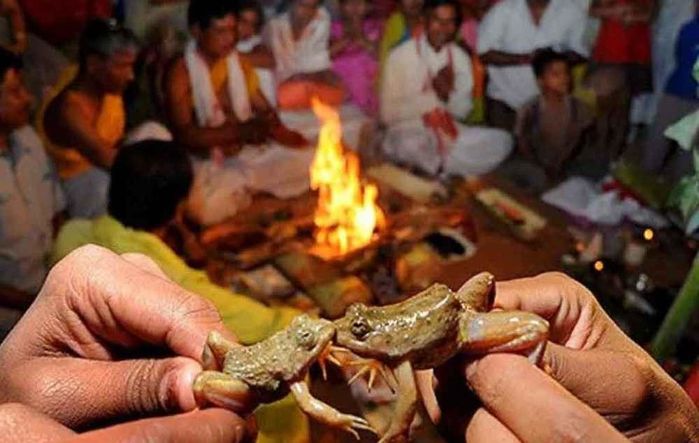 Làm đám cưới cho cặp ếch cầu mưa, 2 tháng sau làng tổ chức ly hôn gấp