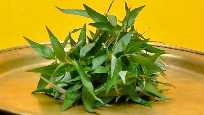 Loại rau ở Việt Nam 2000 đồng/mớ sang nước ngoài giá 250 nghìn đồng/mớ