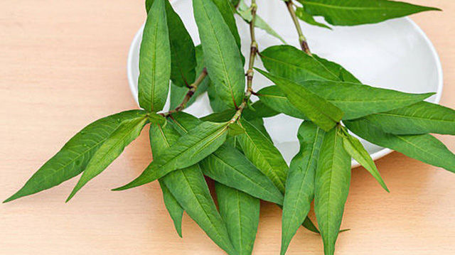 Loại rau ở Việt Nam 2000 đồng/mớ sang nước ngoài giá 250 nghìn đồng/mớ