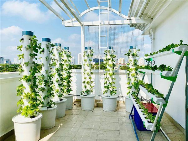 Mẹ trẻ Đà Nẵng tự làm chậu, mát tay trồng dưa chơi ai ngờ ăn thiệt