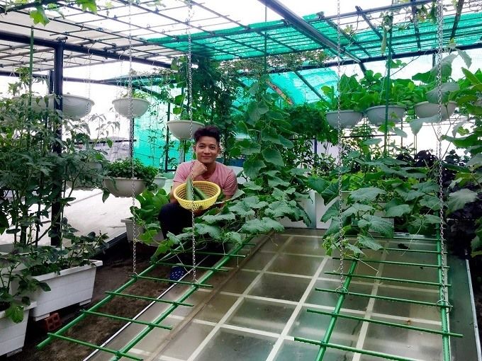 Mẹ trẻ Đà Nẵng tự làm chậu, mát tay trồng dưa chơi ai ngờ ăn thiệt