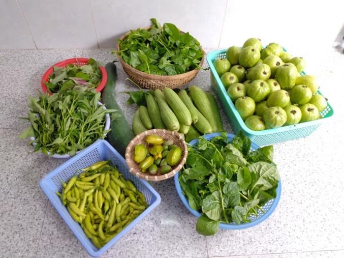 Mê trồng trọt, vợ chồng trẻ trồng cả 100 loại cây trái trên sân thượng