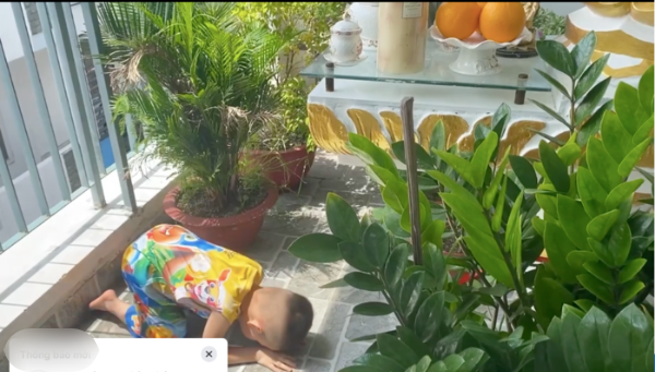 Nghẹn lòng hình ảnh con trai út quỳ gối cầu nguyện cho Phi Nhung