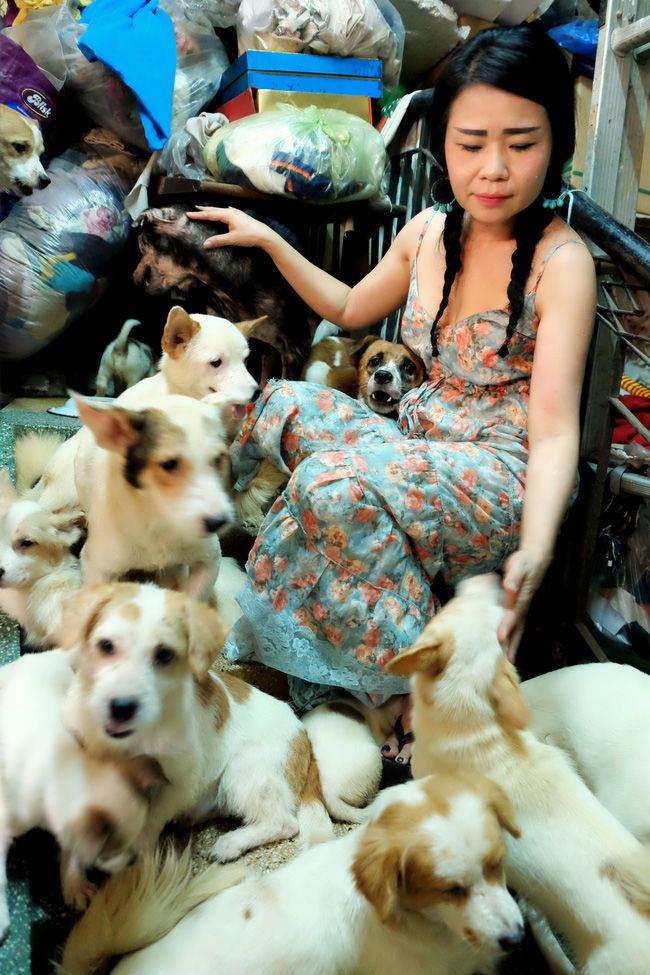 Người phụ nữ độc thân nuôi hàng trăm thú cưng