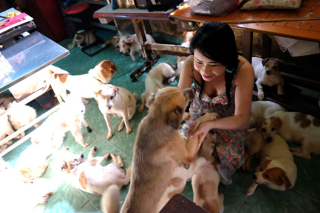 Người phụ nữ độc thân nuôi hàng trăm thú cưng