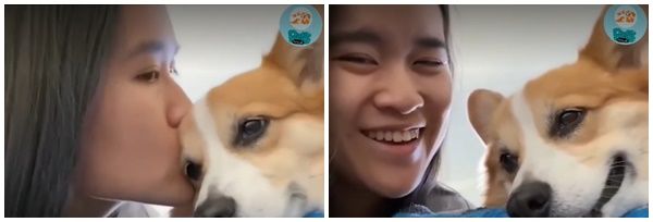 Những biểu cảm siêu đáng yêu của các boss khi được chủ hôn