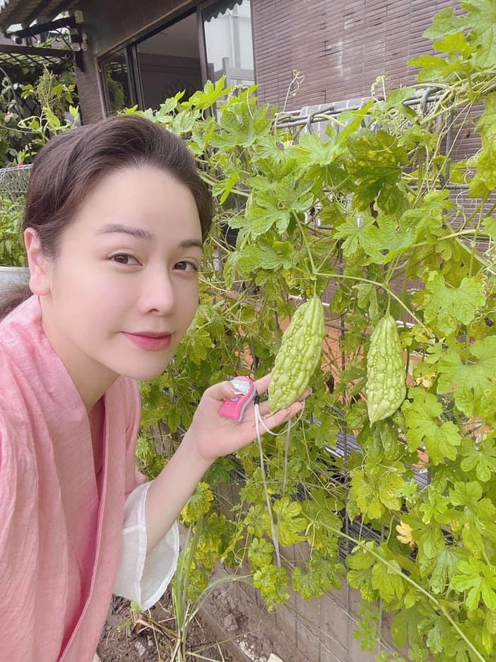 Vườn rau xanh trong biệt thự của Nhật Kim Anh: khỏi lo đi chợ