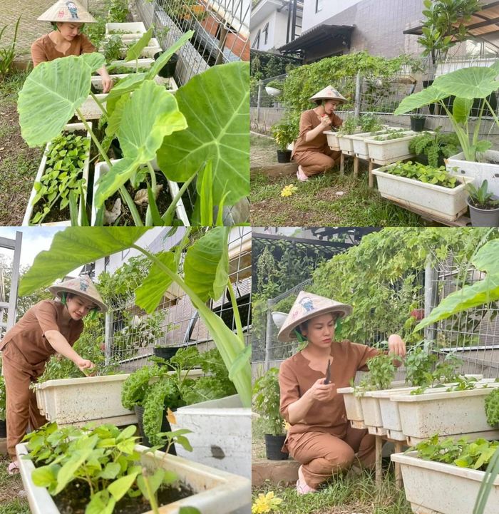 Vườn rau xanh trong biệt thự của Nhật Kim Anh: khỏi lo đi chợ