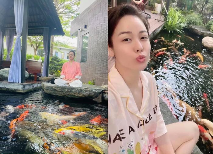 Vườn rau xanh trong biệt thự của Nhật Kim Anh: khỏi lo đi chợ