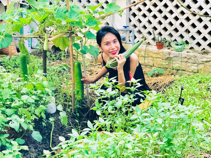 Vườn rau xanh trong biệt thự của Nhật Kim Anh: khỏi lo đi chợ