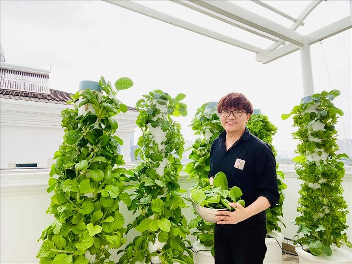Vườn rau xanh trong biệt thự của Nhật Kim Anh: khỏi lo đi chợ