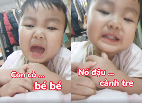 Sao Việt 24h: Con trai Hòa Minzy tự hát tự khen Bo Thúi ngoan