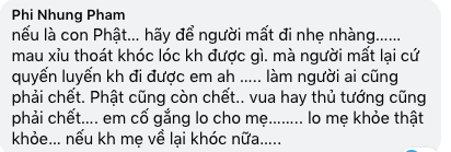 Sao Việt an ủi Bình Tinh, Phi Nhung: Khóc lóc không được gì