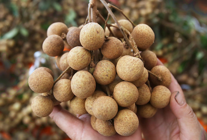 Sống mấy chục năm trời mới biết hột nhãn cũng ăn được, luộc rất ngon
