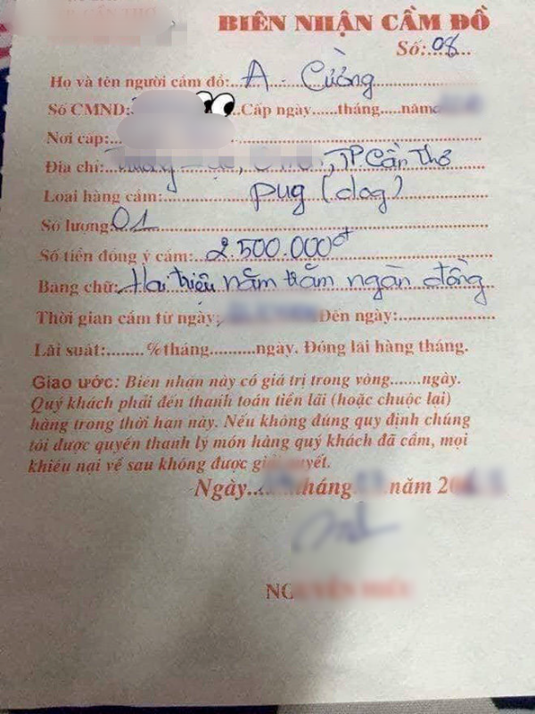 Thanh niên đem chó đi cầm cả năm không chuộc khiến chủ tiệm kêu trời