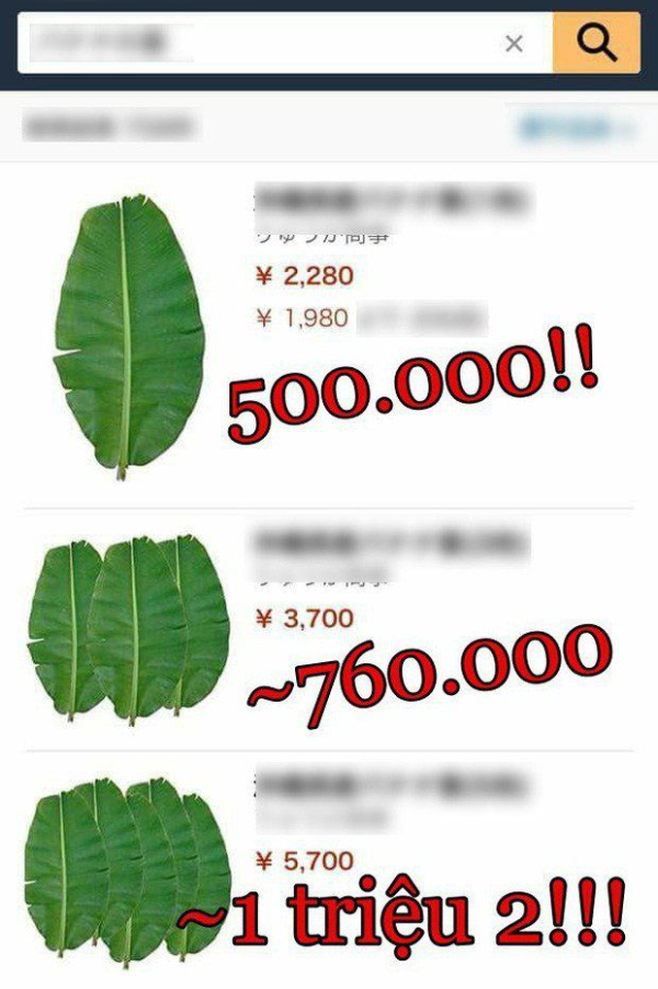 Thứ người Nhật mất một khoản kha khá để mua, Việt Nam coi như đồ bỏ
