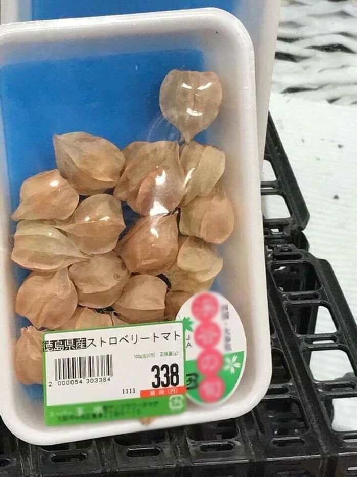 Thứ người Nhật mất một khoản kha khá để mua, Việt Nam coi như đồ bỏ